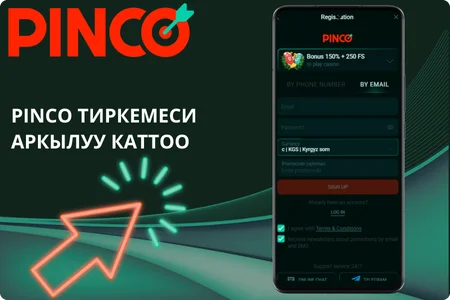 Pinco тиркемеси аркылуу каттоо
