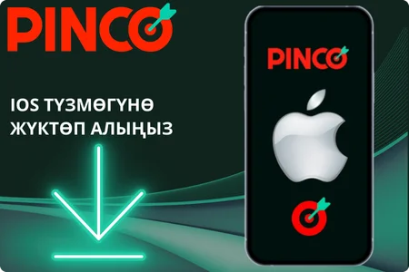 Pincoну iOS түзмөгүнө жүктөп алуу боюнча кадам-кадам нускама