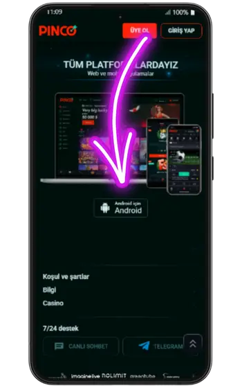 Pinco Casino yükle