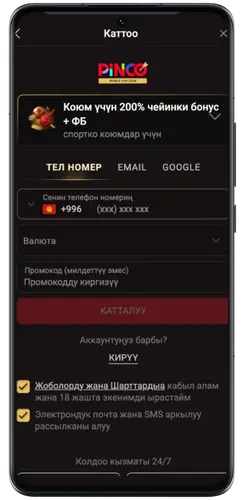 Pinco аккаунтуна кирүү формасы