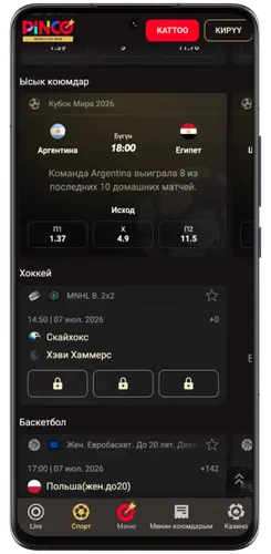Pinco'догу спорттук мелдештердин линиясы